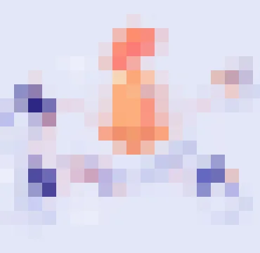蜂鸟竞技