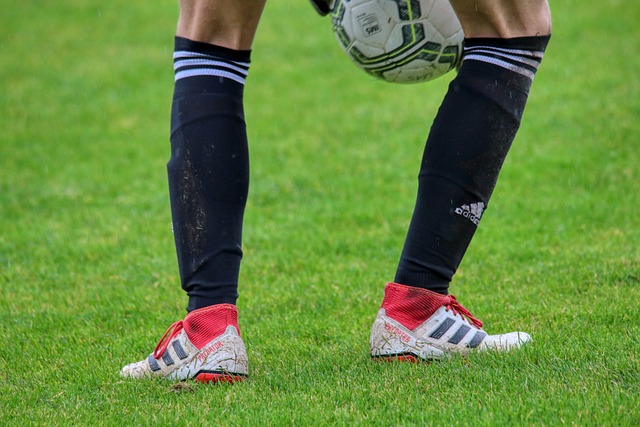 积极应用 积极应用