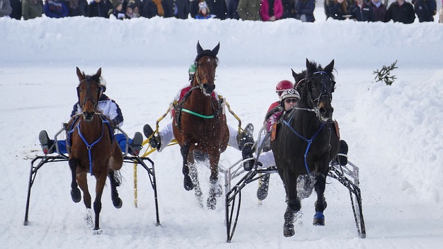 发现香港秋 发现香港秋