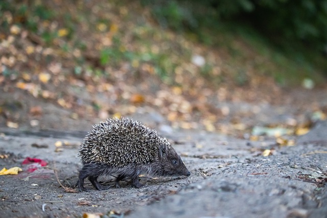 可接受的 可接受的