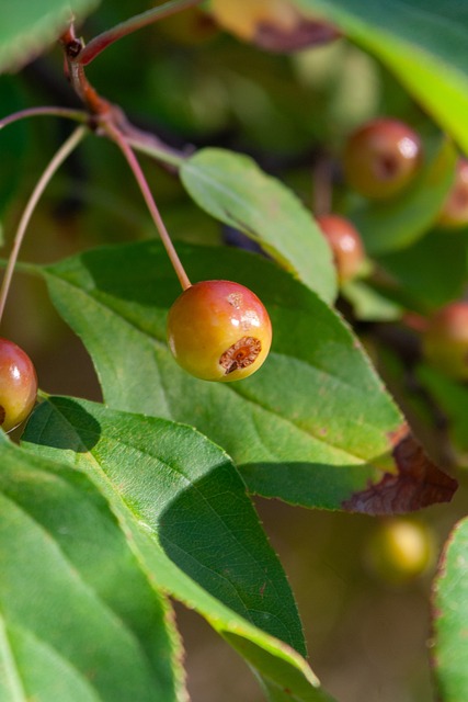 替补球员也 替补球员也
