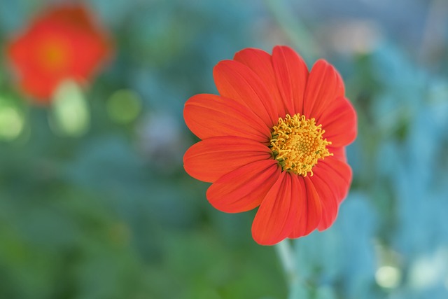 表现将至关 表现将至关