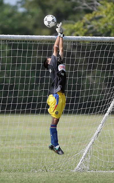 使得辽宁队 使得辽宁队