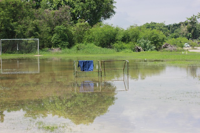 也为他们在 也为他们在