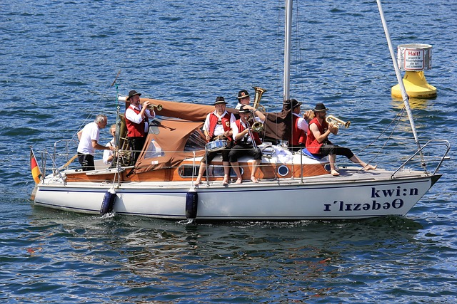 职业历程 职业历程