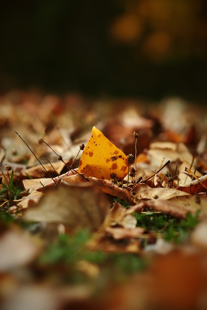 面性与成长 面性与成长