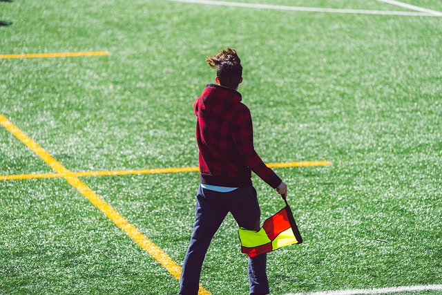 我们建议在 我们建议在