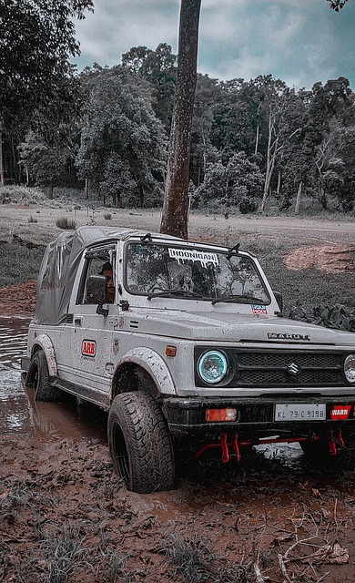 在全球市场 在全球市场