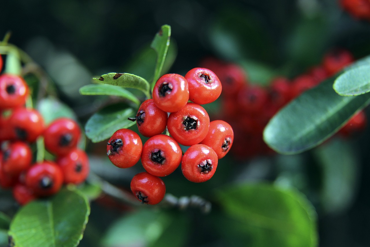了一场兵法 了一场兵法
