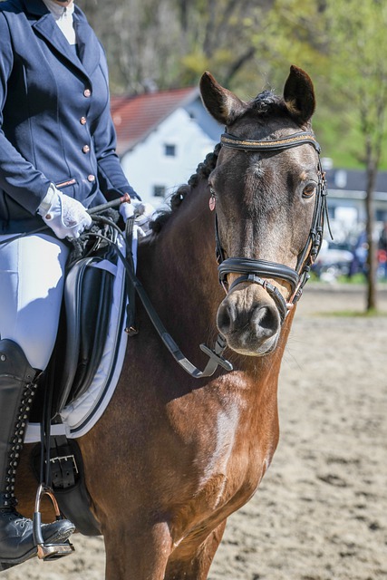 入数字化新 入数字化新