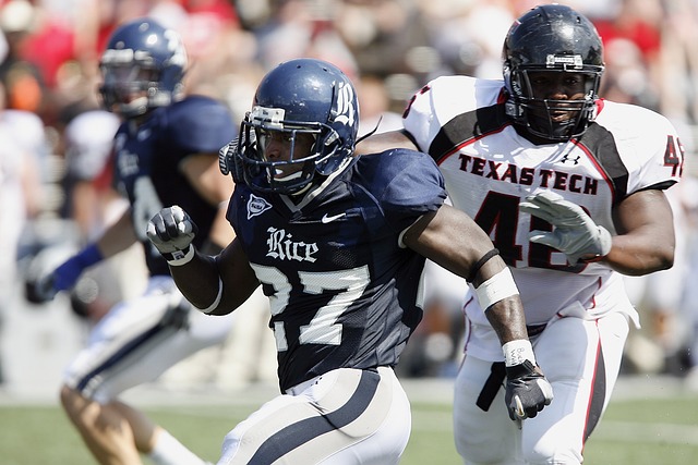 健康发展的 健康发展的